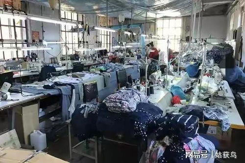 牡丹江一大型工廠二拍遇冷，1044.7萬元無人問津的背后