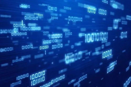 風(fēng)口到來(lái)，大掌柜半年斬獲兩輪融資，上海網(wǎng)絡(luò)技術(shù)服務(wù)賽道迎來(lái)新標(biāo)桿